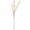 Discount CASA ADDO Vase Crème
