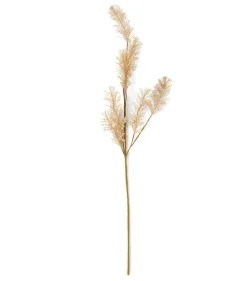 Discount CASA ADDO Vase Crème