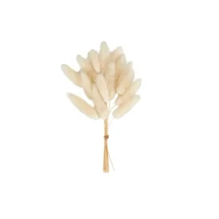 Discount CASA ADDO Vase Crème