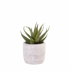 Best CASA BAZAAR Pot De Fleurs Naturel