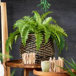 Sale CASA BAZAAR Pot De Fleurs Naturel
