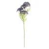 Sale CASA BERRY Branche De Baies Rouge