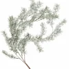 Clearance CASA CEDER Branche Décorative Vert