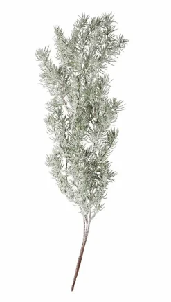 Clearance CASA CEDER Branche Décorative Vert