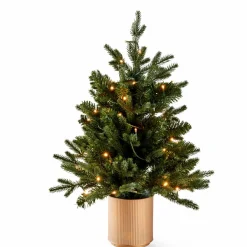 Clearance CASA CEDER Branche Décorative Vert