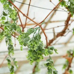 Hot CASA COLLAR Vase Vert