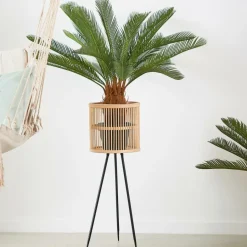 Outlet CASA CYCAS Palmier Vert
