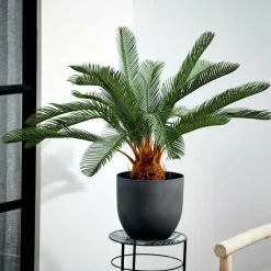 Outlet CASA CYCAS Palmier Vert