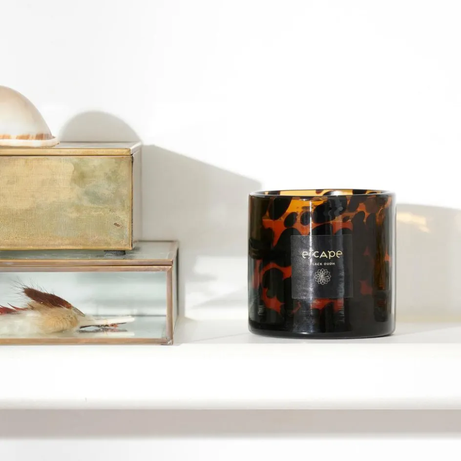 Online CASA ESCAPE BLACK OUDH Bougie Parfumée Brun, Ocre, Multicolore
