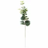 Clearance CASA EUCALYPTUS Couronne Vert