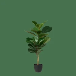 Clearance CASA FIGI Plante Artificielle Noir, Vert Foncé