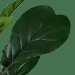 Clearance CASA FIGI Plante Artificielle Noir, Vert Foncé