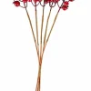 Best CASA FOAM Branche De Grenadier Rouge