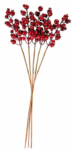 Best CASA FOAM Branche De Grenadier Rouge