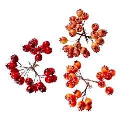 Hot CASA FOAM Branches D'églantier Rouge
