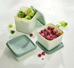 Clearance CASA FREEZER Boîtes Congélation Set De 10 Menthe, Vert Foncé