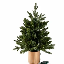 Hot CASA FROST Mélèze Blanc
