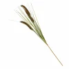 Discount CASA GRASS Botte D'herbe Vert