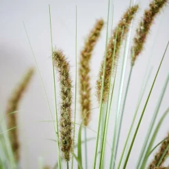 Discount CASA GRASS Botte D'herbe Vert