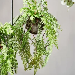 Sale CASA GREENERY Pot à Suspendre Avec Fougère Vert