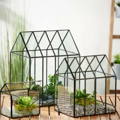 Best CASA GREENHOUSE Serre Transparent