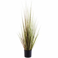 Sale CASA HERBA Herbe En Pot Vert
