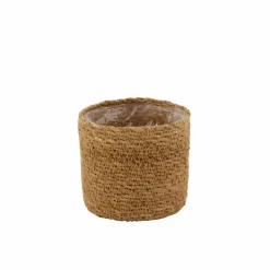 Best CASA KWAI Palmier Vert