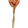Sale CASA LAGURUS Lagure Ovale Rose