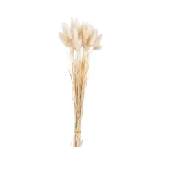 Clearance CASA LINDE Vase Beige