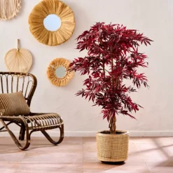 Discount CASA MAPLE Plante Artificielle Diverses Couleurs