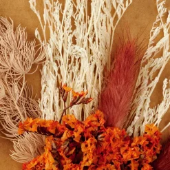 Clearance CASA MIA Décoration Séchée Orange
