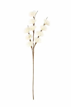 Clearance CASA MONTANA Vase Sable