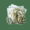 Clearance CASA PALMEN Set De 20 Serviettes Vert