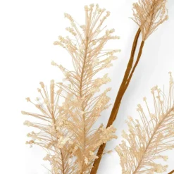 Best CASA PAMPA Herbe Des Pampas Blanc