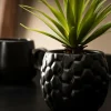 Clearance CASA PINA Plante D'ananas En Pot Noir