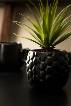 Clearance CASA PINA Plante D'ananas En Pot Noir