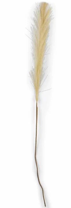 Outlet CASA PLUME Plumes Décoratives Brun Clair
