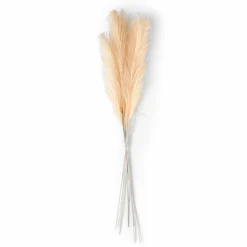 Outlet CASA PLUME Plumes Décoratives Brun Clair