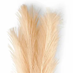 Outlet CASA PLUME Plumes Décoratives Brun Clair