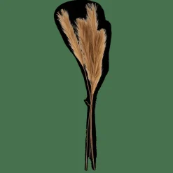 Best CASA PLUME Plumes Décoratives Brun