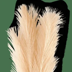 Hot CASA PLUME Plumes Décoratives Crème