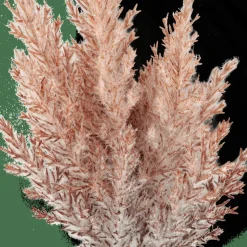 Sale CASA PLUME Tige Panache Orange