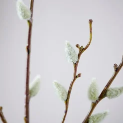 Sale CASA SALICA Branche Artificielle Vert