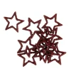 Sale CASA STAR Décoration Séchée