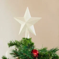 Sale CASA STAR Décoration Séchée