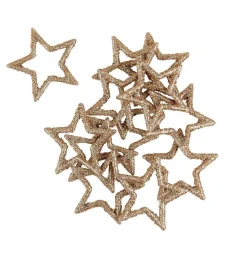 Sale CASA STAR Décoration Séchée
