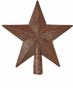 Sale CASA STAR Décoration Séchée