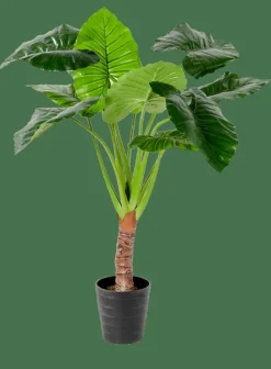 Sale CASA TARO Plante Artificielle Arum Vert