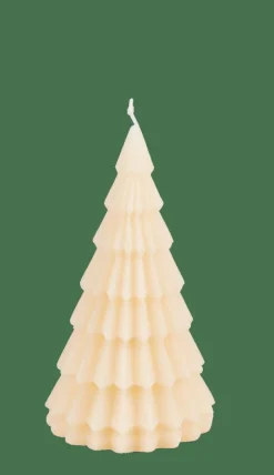 Best CASA TREE Bougie Ivoire
