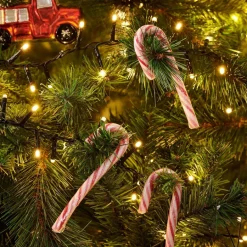 Hot CASA X-MAS CANDY CANE Sucre D'orge Set De 12 144g Multicolore